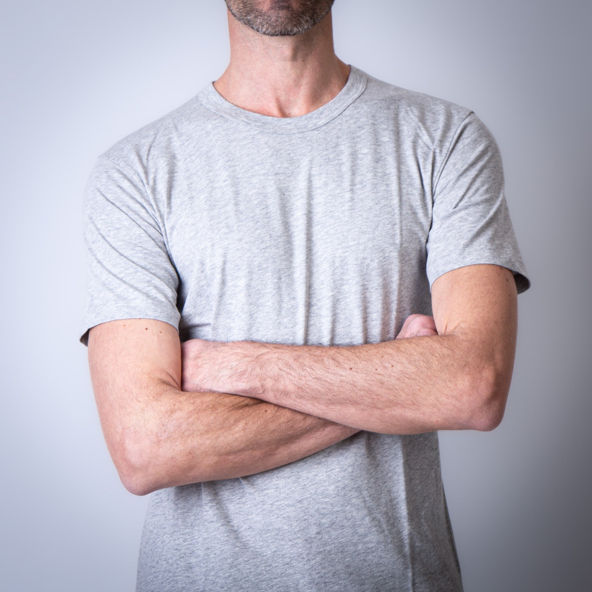 COMME des GARÇONS SHIRT グレー さわやか Tシャツ S COMME des GARCONS SHIRT さわやかTシャツ アーカイブ - メルカリ